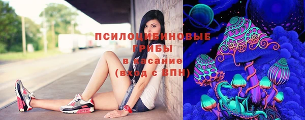 круглые Краснослободск