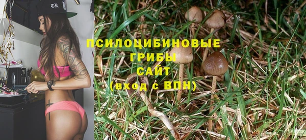 круглые Краснослободск
